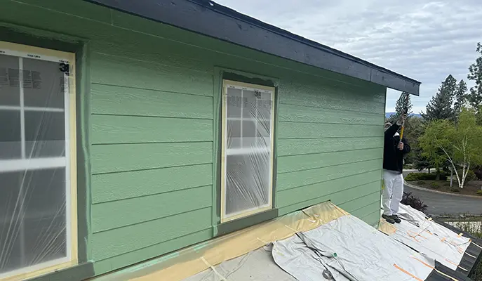 House painting service showcasing vibrant exterior house painting service and clean roof painting service.