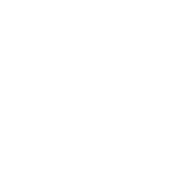 LAV Spokane painting logo