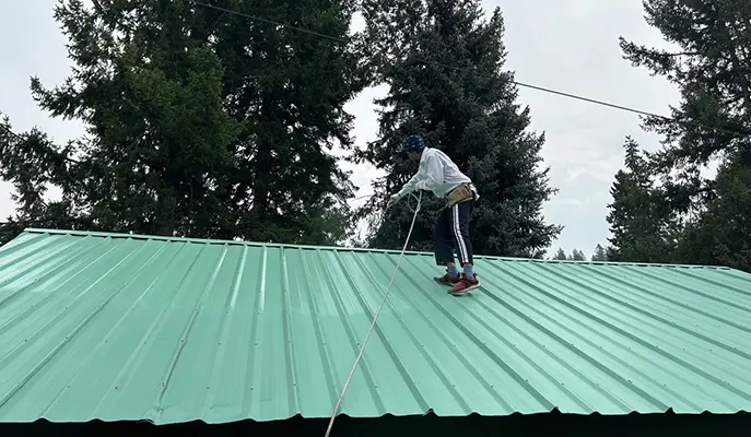 The painter finished painting the roof green