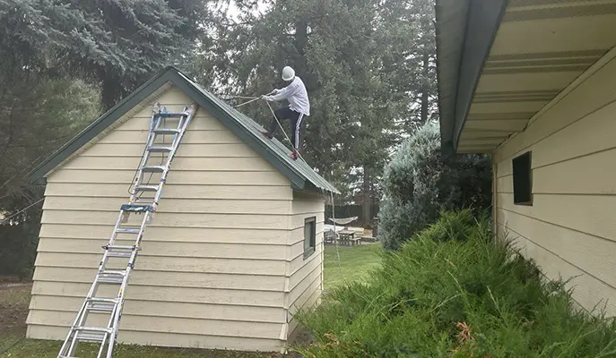 painter on the roof of a house inspecting a rusty roof before cleaning off rust