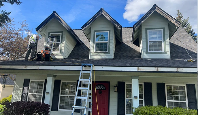 the painter is cleaning the roof from moss and applying disinfectants for the roof from moss