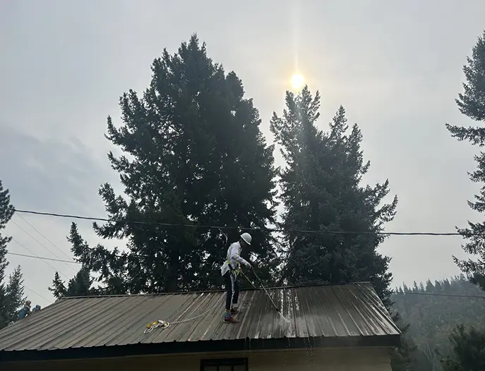 process of cleaning green metal roof from moss and rust