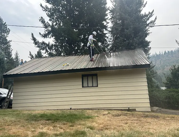 process of cleaning green metal roof from rust and moss