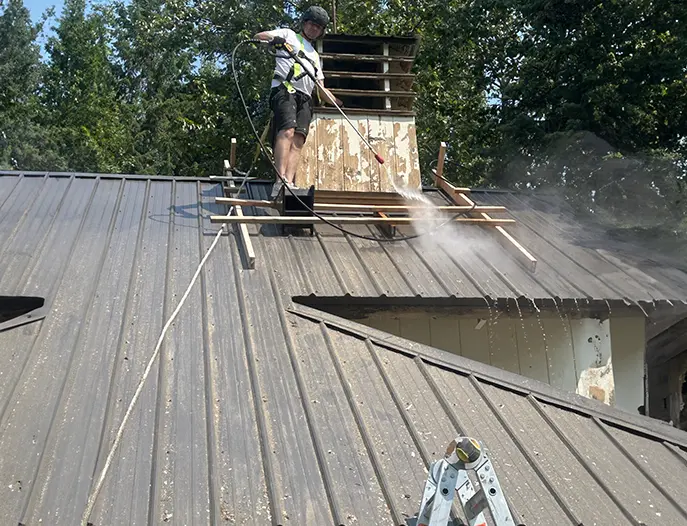 Roof cleaning service showcasing professional techniques for effective exterior maintenance.