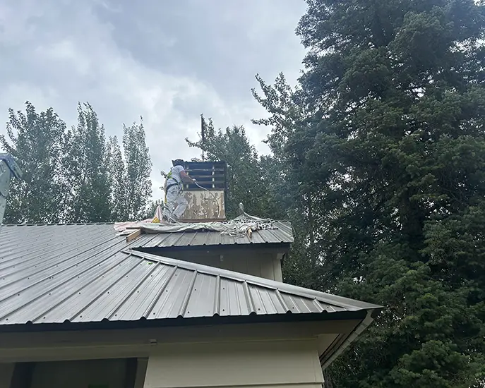 Roof cleaning service showcasing professional techniques for removing debris and ensuring a clean surface for effective exterior house painting service.