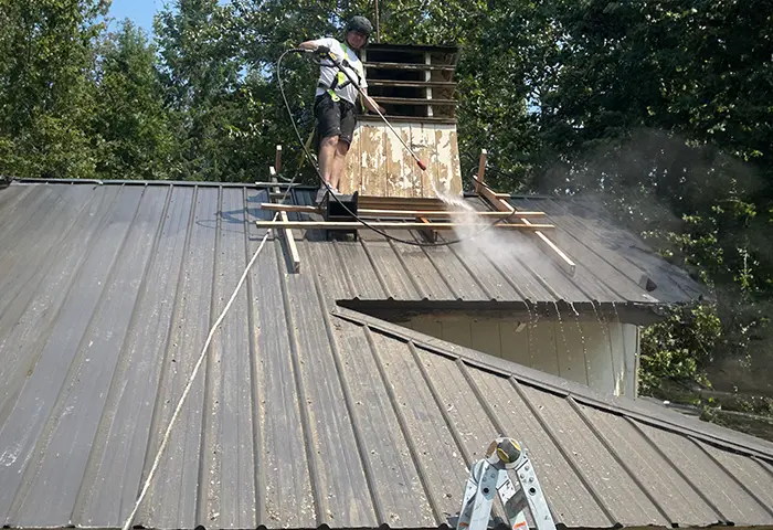 Roof cleaning service showcasing professional techniques for efficient exterior maintenance.