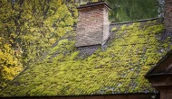 roof remove moss1